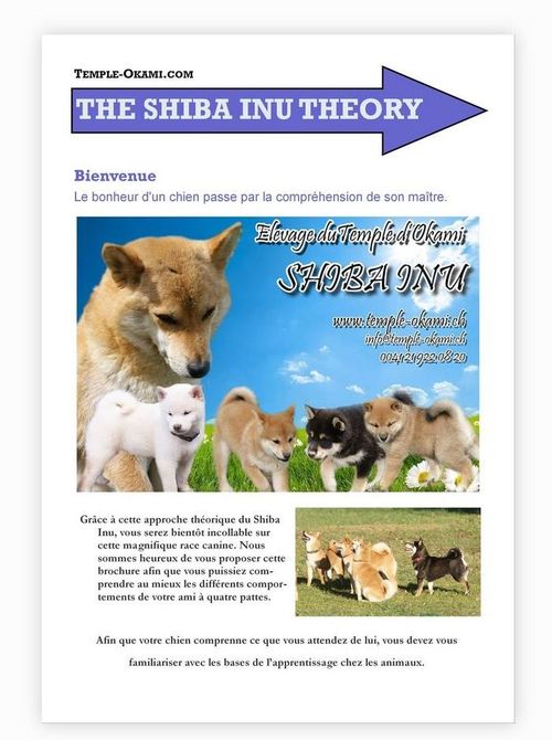 information sur les shiba inu